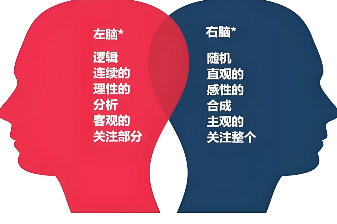 左右脑半球主导权测试题